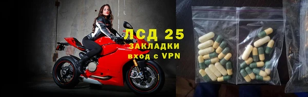 ПСИЛОЦИБИНОВЫЕ ГРИБЫ Алзамай