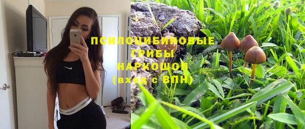 бутират Алексеевка
