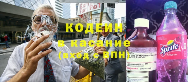 ПСИЛОЦИБИНОВЫЕ ГРИБЫ Алзамай