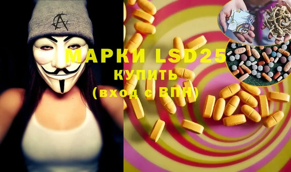 ПСИЛОЦИБИНОВЫЕ ГРИБЫ Алзамай
