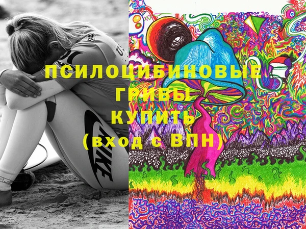 ПСИЛОЦИБИНОВЫЕ ГРИБЫ Алзамай