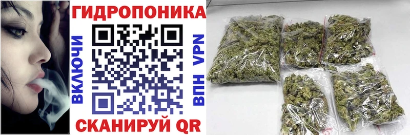 Каннабис план  Купить  Энем 